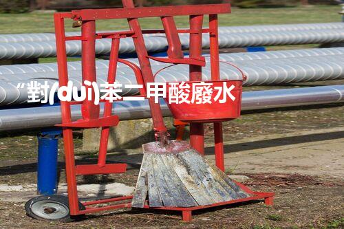 “對(duì)苯二甲酸廢水處理，綠色創(chuàng)新引領(lǐng)環(huán)保新篇章”